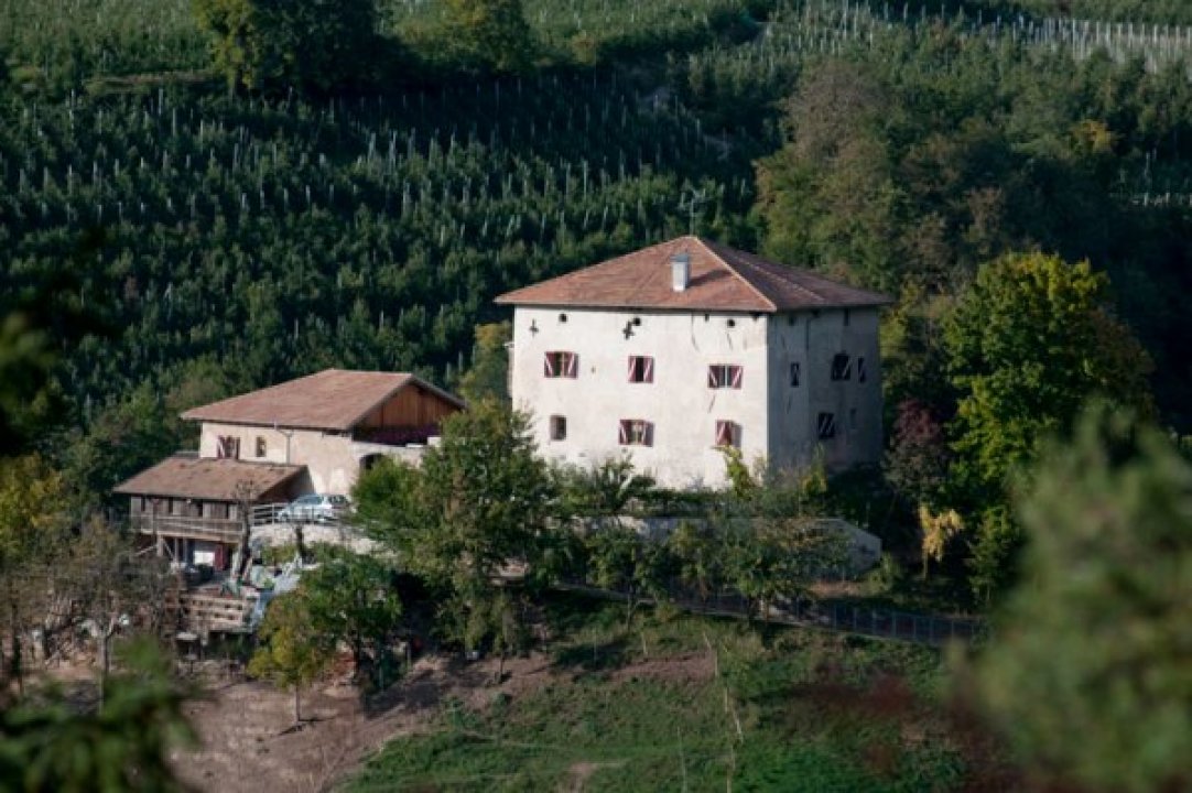 Se vende castillo in montaña Fondo Trentino-Alto Adige foto 8